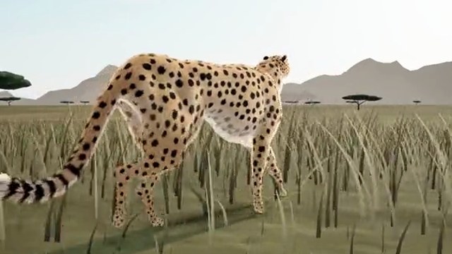 A21: A cheetah animated from code in Three.js