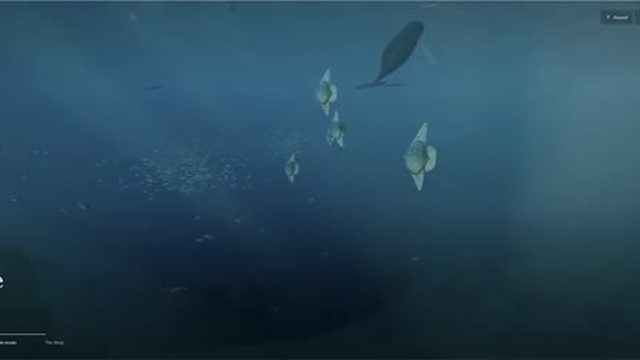 M28: Ocean extended into an underwater world